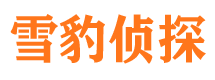 内乡找人公司